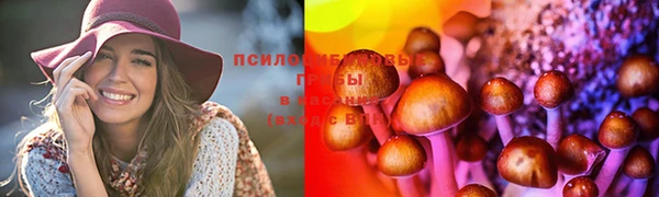 гидропоника Михайлов