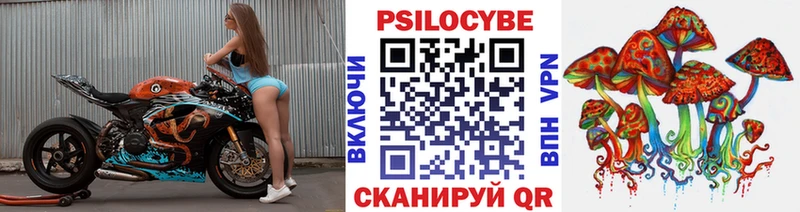 Купить  Омутнинск  Псилоцибиновые грибы мицелий 